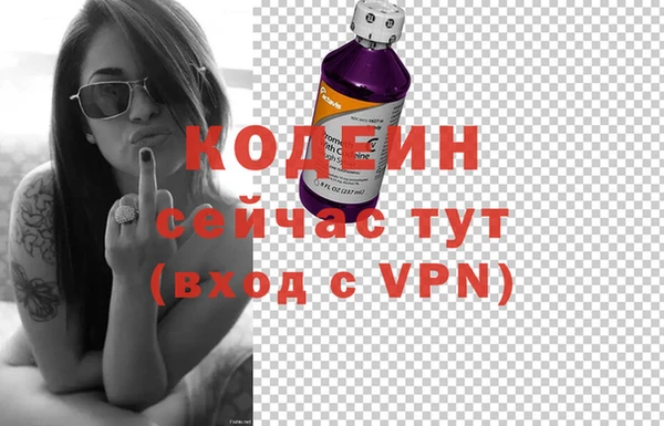 гашик Абаза
