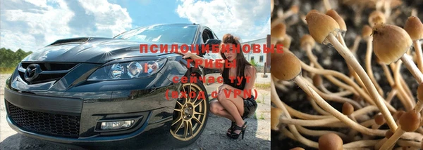 гашик Абдулино